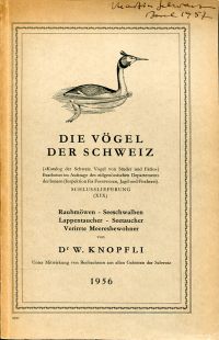 Knopfli, Raubmöwen - Seeschwalben - Lappentaucher - Seetaucher - Verirrte Meeres (Umschlag)