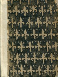 Dante: Die göttliche Komödie. (Umschlag)