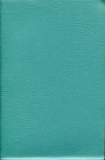 Feifel, Geschichte der chinesischen Literatur. (Umschlag)