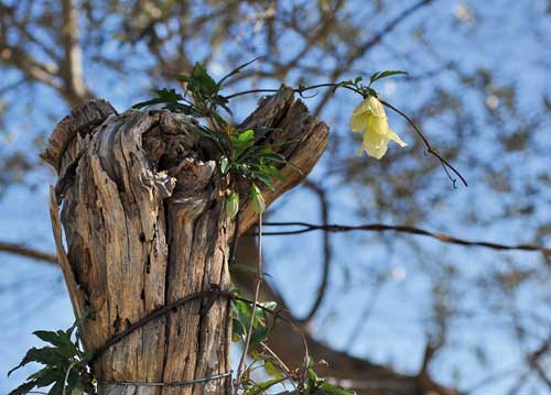 bildreich karten PK 1043: neubeginn.
