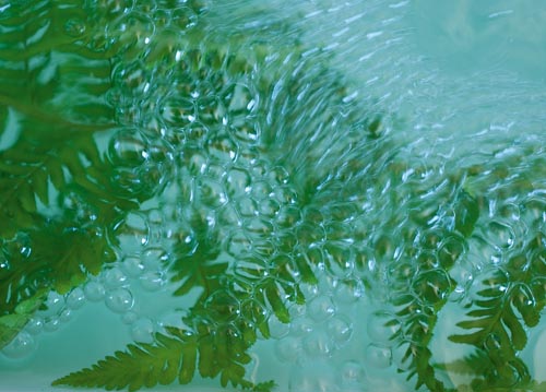 bildreich karten PK 1070: wasserperlen.