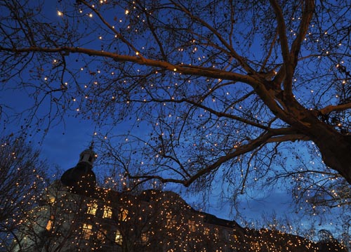 bildreich karten PK 1084: lichterleuchten.