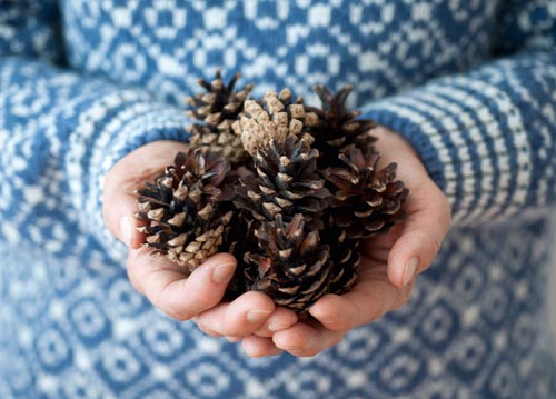 bildreich karten PK 1096: sammelglück.