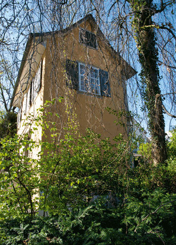 bildreich karten PK 1119: rapunzels haar?.