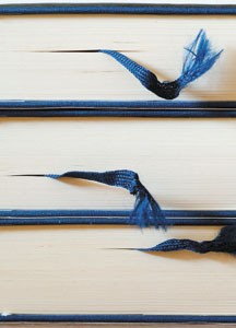 bildreich karten PK 143: gedichtbücher.