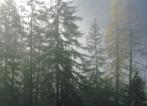 bildreich karten PK 189: nebelfern.