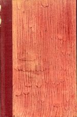 Strich, Liselotte von Kurpfalz. (Umschlag)