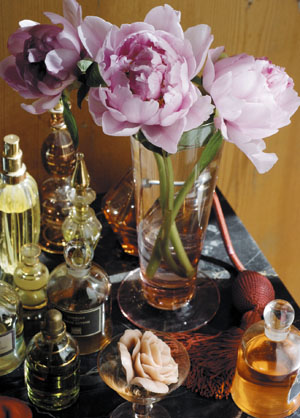 bildreich karten PK 401: boudoir.