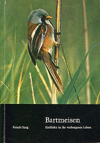 Feindt, Bartmeisen (Panurus biarmicus). (Umschlag)