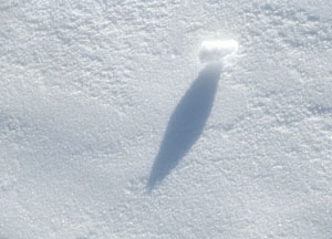 bildreich karten PK 8: diva.