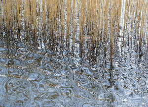 bildreich karten PK 260: wasser, leicht gekräuselt.