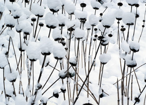 bildreich karten PK 275: schneebedeckt II.