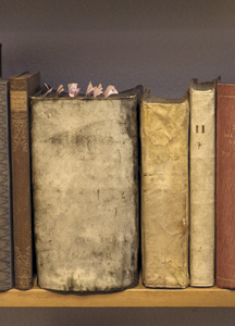 bildreich karten PK 293: wiedergefunden.