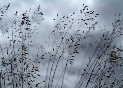 bildreich karten PK 747: kurz vor dem regen.