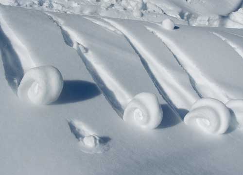 bildreich karten PK 778: schneeschnecken I.