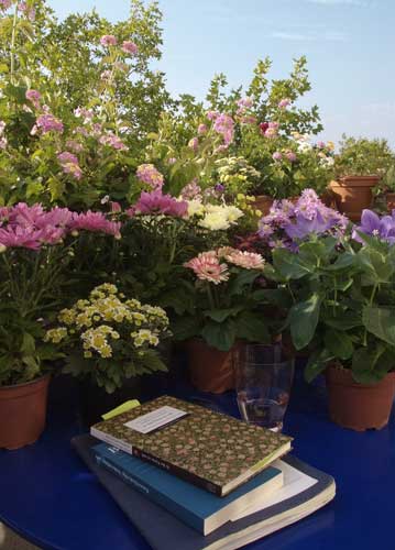 bildreich karten PK 832: sommersitz.